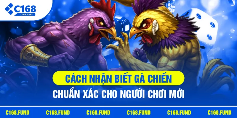 Cách Nhận Biết Gà Chiến Chuẩn Xác Cho Người Chơi Mới